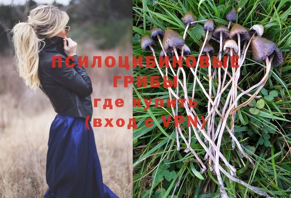 соль ск Михайловск